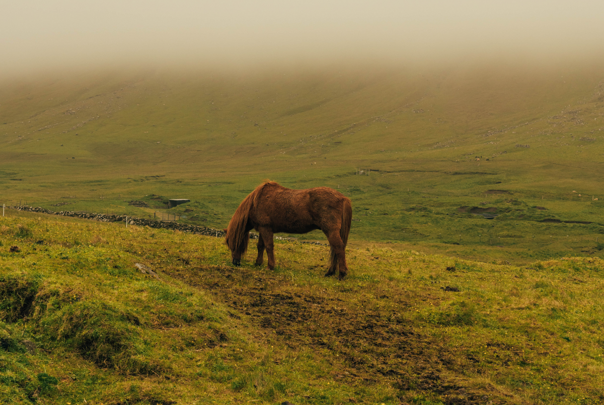 Faroe Islands: A Travel Guide by ROWSE