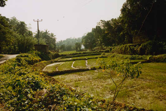 Sri Lanka, Beyond the Map